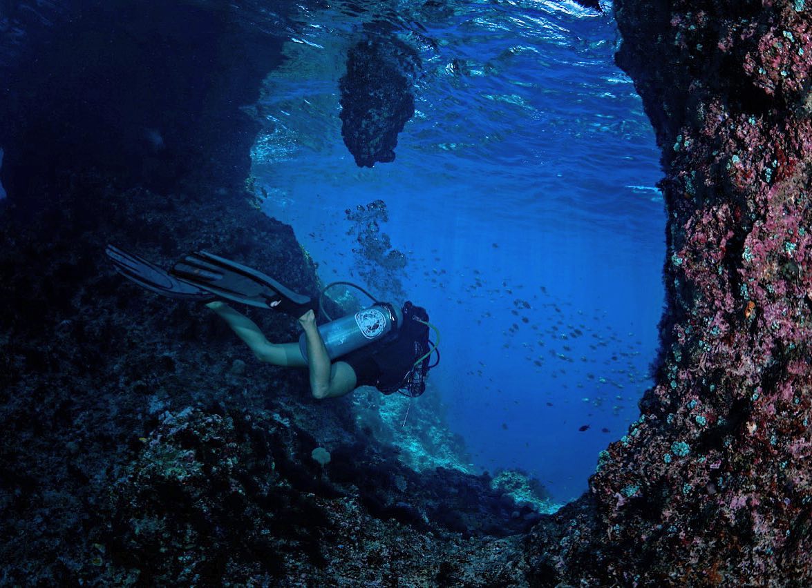 Marine Conservation - Research Assistant in Indonesia